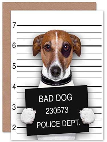 Wee Blue Coo Funny Jack Russell Bad Dog Mug Shot Birthday Card CP1136