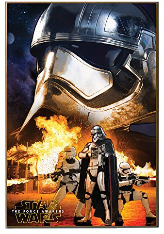 Silver Buffalo SE0536 Disney Star Wars Ep7 Captain Phasma Poster Holz Wall Art 33 x 48,3 cm