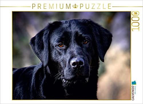 CALVENDO Puzzle Labrador Retriever - Treue Begleiter 1000 Teile Puzzle quer | Lege-Größe cm Foto-Puzzle für glückliche Stunden
