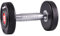 inSPORTline Profi Kurzhantel 14 kg