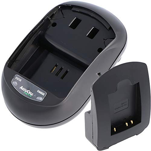 AccuCell Chargeur rapide pour Fuji NP-45 batterie