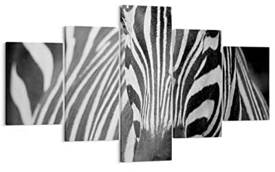 Mehrteilige Bilder auf Leinwand Tiere Zebra gestreift Leinwandbild 125x70cm Wandbilder Dekoration Wohnzimmer Schlafzimmer Set 5 teilige Klein Wanddeko Bild Wand Kunstdruck Art Canvas EA125x70-2254