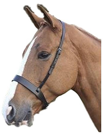 Blenheim Hunter Kappzaum Reithalfter Pferd Equestrian Reiten zeigt Zweispänner Braun braun XFULL