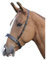 Blenheim Hunter Kappzaum Reithalfter Pferd Equestrian Reiten zeigt Zweispänner Braun braun XFULL