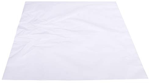 Jajasio 100 Flachbeutel/Plastikbeutel transparent/Größe: 250 x 400 mm