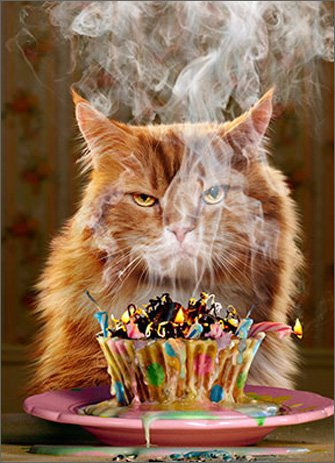 Humorous Birthday Card (AVANTI200112) - Ginger Cat - Another Year... Another Blaze of Glory