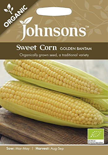 Johnsons 24375 ORG Sweet Corn Golden Bantam, Yellow