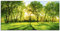 ARTland Wanddeko Glasbilder Wandbild Glas Bild einteilig 100x50 cm Querformat Natur Wald Sonne Landschaft Frühling Wiese Bäume Grün T2OP