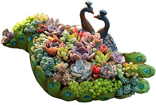 Worila Grand pot de fleurs vintage en forme de paon - Pour cactus et plantes succulentes - Pour la maison et le jardin