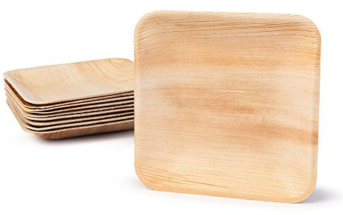 BIOZOYG Palmware DTW05369 Assiette jetable en Feuille de Palmier, 25 pièces, carrée, 15x15 cm, compostable