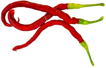 Chili Joes Long Red Original (Die Rießen-Chili mit über 40cm Langen Früchten) 10 Samen