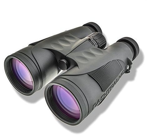 DDoptics Fernglas Nachtfalke Ergo 8x56 gen II