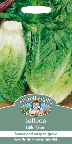 Mr Fothergill's Lettuce Little Gem