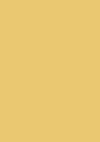 Brunnen 105123518 Universalpapier, A4, 35 Blatt, 120 g/m², mango