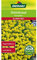 Dehner Blumen-Saatgut, Steinkraut, Kompakta, 5er pack (5 x 3 g)