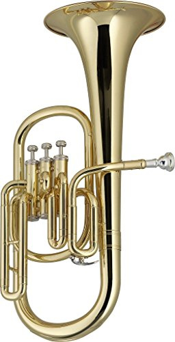 Stagg 25021037 WS-AH235S Eb Alto Horn inkl. Soft Hülle