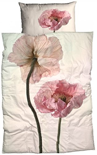 Casatex Mako-Satin Bettwäsche Monja 155x220 cm + 80x80 cm