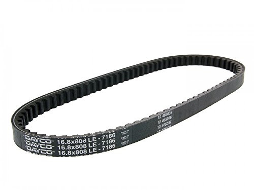 DAYCO 7186 Keilrippenriemen