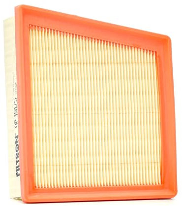 Filtron Filtro dell'aria, AP151/5