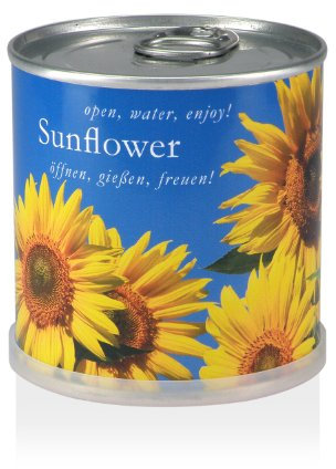 MacFlowers | Kleines Anzuchtset mit Sonnenblumen | Design Blau Gelb | Geschenkset mit Einer Sorte Samen in süßer instant Blumendose