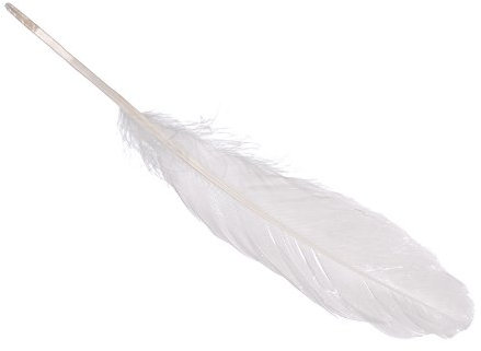 Echte Gänsefedern/FedernWEISS (8 Stück / 16-21 cm)