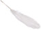 Echte Gänsefedern/FedernWEISS (8 Stück / 16-21 cm)