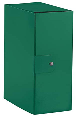 Esselte C35 EUROBOX Cartella per Progetti, 25 x 35 cm, Dorso 15 cm, Verde, Confezione da 1, 390335180