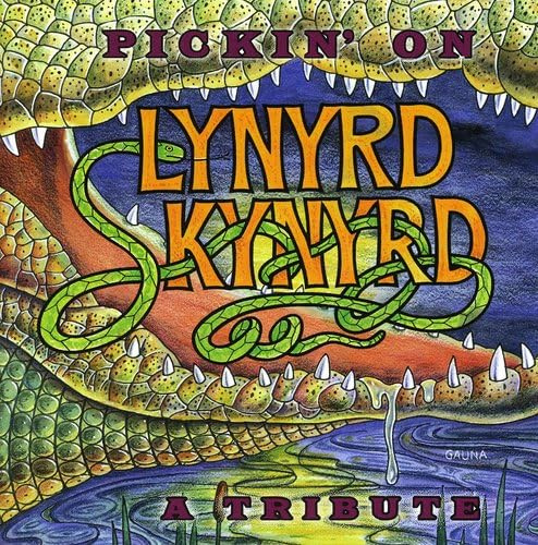 Pickin On Lynyrd Skynyrd