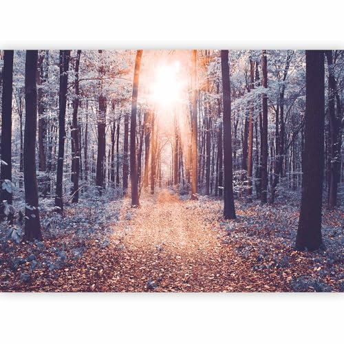 Fotomurale Soggiorno - Carta da parati 400x280 cm TNT Murale alla moda Decorazione da Muro XXL Poster Gigante Design Cameretta Carta per pareti Camera da Letto bosco natura paesaggio c-B-0076-a-c