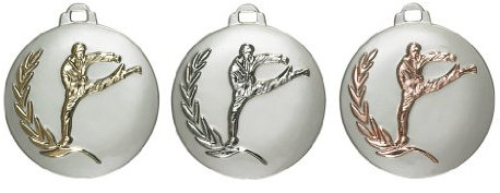 S.B.J - Sportland 3D Medaille Karate Silber