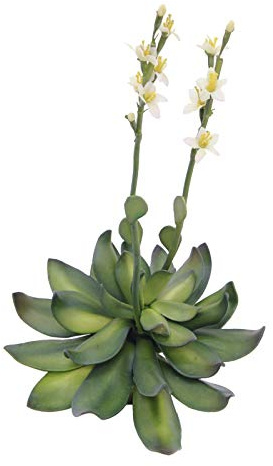 EUROPALMS Steinrose (Eva), Kunstpflanze, gelb, 32cm | Weiche Steinrose mit Soft-Touch-Blättern - sehr elegant