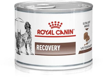 Royal Canin Veterinary Diet Recovery Nourriture pour Chien/Chat