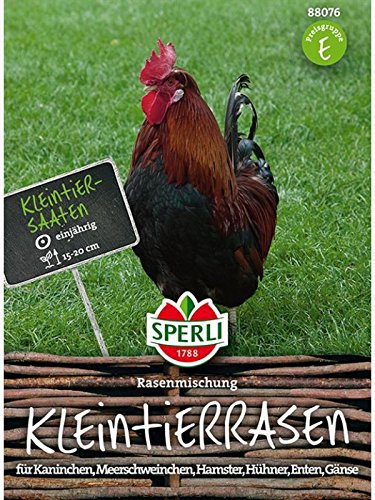 Kleintier Rasen, Pet Flooor