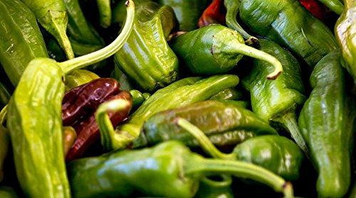 PEPERONE FRIARIELLO NR.200 SEMI