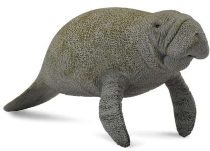 Collecta – col88455 – Rundschwanzseekühe – Größe L