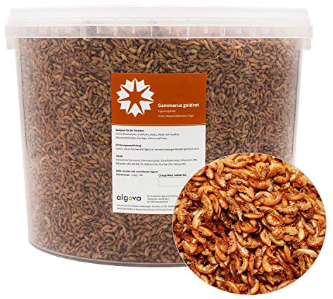 Algova Gammarus Gamberetti d'Acqua Dolce Essiccati - Cibo per Pesci, Pesci Rossi, Koi e di Stagno - Alimento per Tartarughe, Rettili e Polli 5000ml = 600g