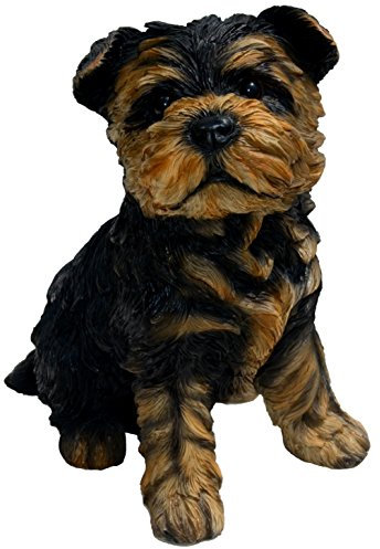 Michael Carr Designs Sergeant York Yorkshire Terrier Welpe S Outdoor Hund Figur für Garten, Terrasse und Rasen (80091) schwarz
