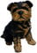 Michael Carr Designs Sergeant York Yorkshire Terrier Welpe S Outdoor Hund Figur für Garten, Terrasse und Rasen (80091) schwarz