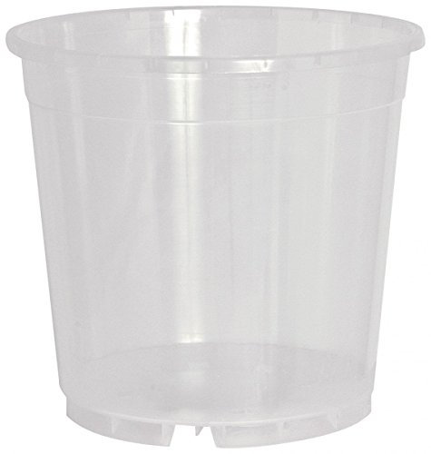 Juego de 10 macetas transparentes para orquídeas, 19 cm