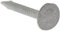 Merriway BH02173 (150 gm) Clout Nail With Extra Large Head, Galvanised 50 mm (2 inch) - Pack of 150g, Silver