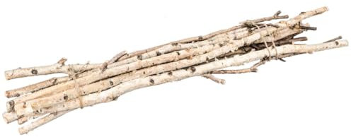 NaDeco Birkenzweige im Bund mit 10 Stück, Größe ca. 1m | Birkenzweig | Birkenäste | Birken-Bündel | Birken-Zweige | Birken-AST | Birkenstamm | Osterzweig | Äste-Deko | Osterstrauch | Deko-Ästeㅤ