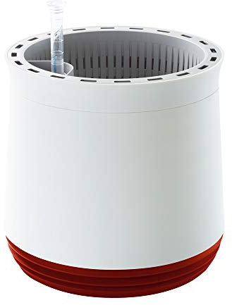 AIRY - Pot de Plantes novateur, Aussi Efficace qu'un purificateur d'air - L'épuration Naturelle de l'air avec des Plantes, sans Courant ni Chimie (Hot Chili)