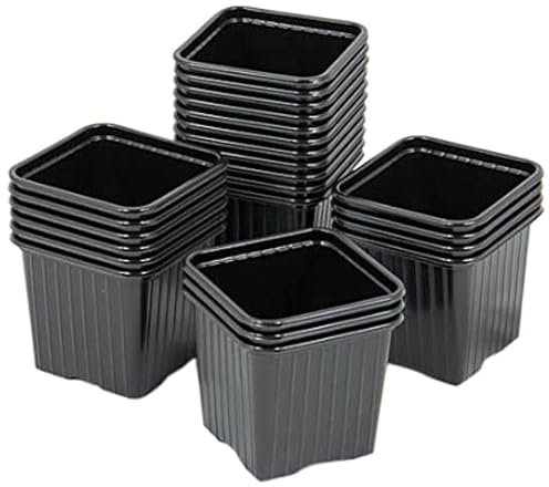 Soparco Godet 7x7x6.4 thermoformé Noir (x 100)