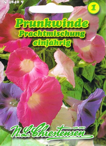 Prunkwinde Prachtmischung Mischung Pharbitis purpurea Winde rankend Saatgut