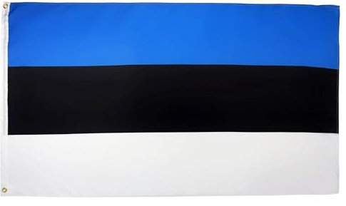 AZ FLAG - Flagge Estland - 90x60 cm - Estnische Fahne 60 x 90 Cm Feiner Polyester - Flaggen