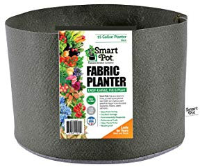 Smart Pots Récipient Côtés Flexibles 15 Gallon Noir