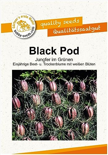 Blumensamen Black Pod, Nigella Portion