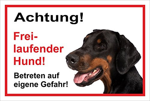 Melis-Folienwerkstatt Schild Warnschild - Achtung freilaufender Hund – Betreten auf eigene Gefahr - Hund Hundeschild 30x20cm Hartschaum Aluverbund -S31W