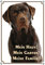 Petsigns Warnschild brauner Labrador - Mein Haus! Hundeschild aus Stabiler Metallplatte, DIN A4