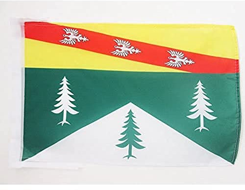 AZ FLAG - Flagge Département Vosges - 45x30 cm Mit Kordel - Vosges Fahne 30 x 45 Cm - Flaggen